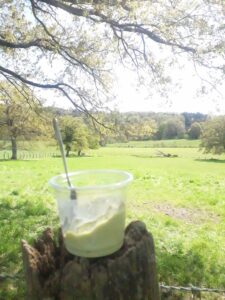 Yaourt au lait de brebis posé sur un tronc dans le champ des Berges Rient, ferme en Mayenne